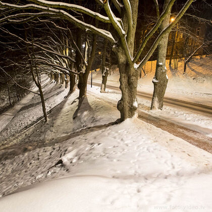 Brīvības bulvāris, Bauskas pilsēta