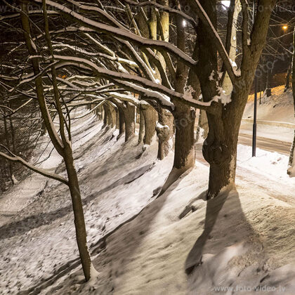 Brīvības bulvāris, Bauskas pilsēta